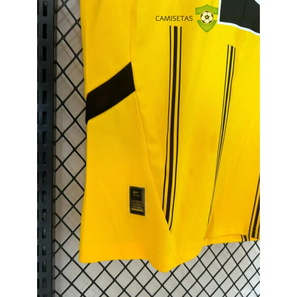 Camiseta Borussia Dortmund 24-25, Local