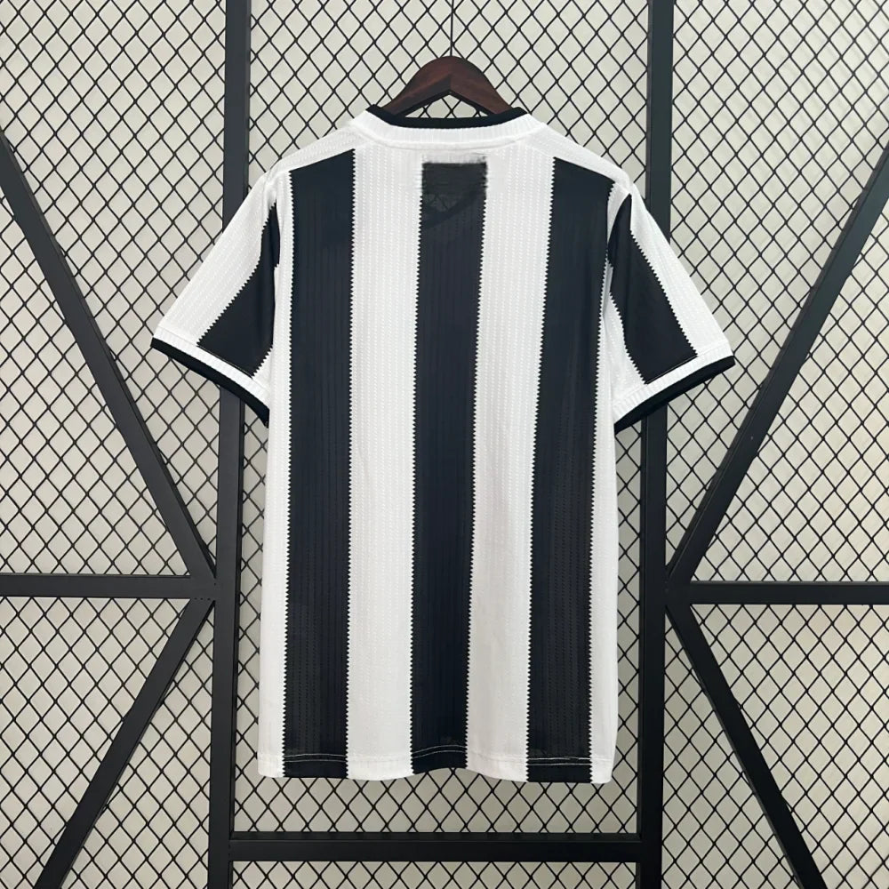 Camiseta Botafogo 24-25, Local