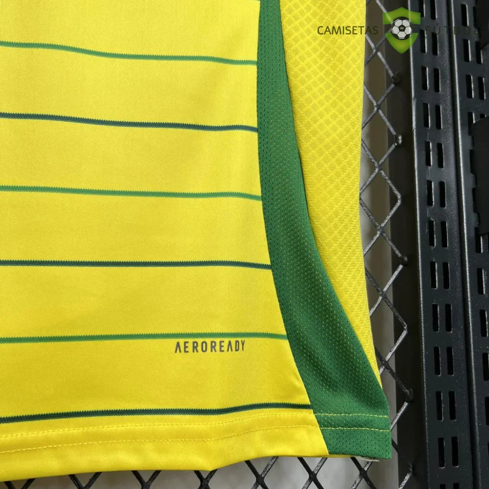 Camiseta Celtic 24-25, Visitante