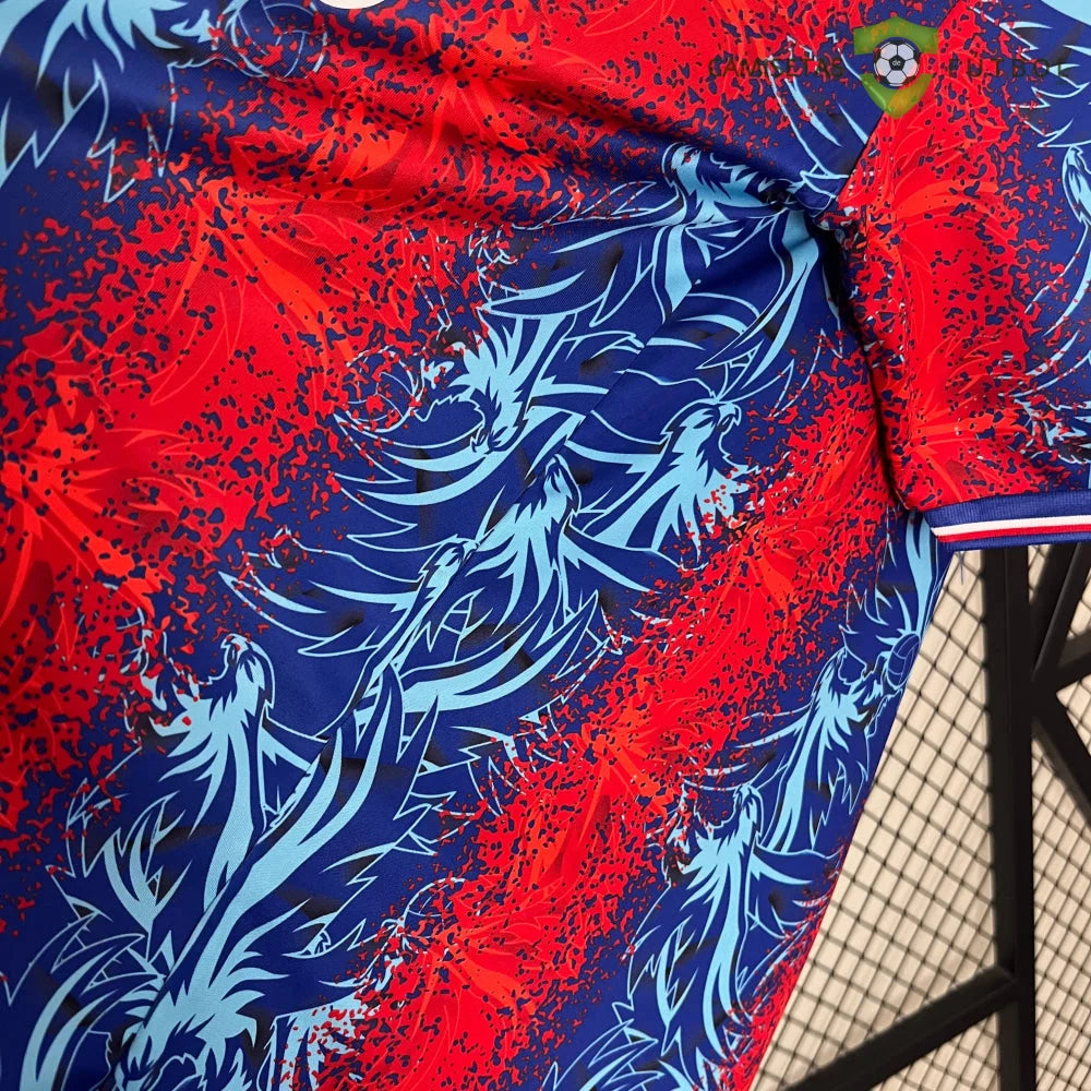 Camiseta Crystal Palace 24-25, Local