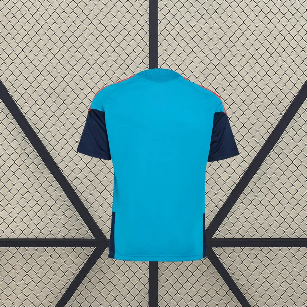 Camiseta Espa�a 26-27, Entrenamiento, Mundial 2026