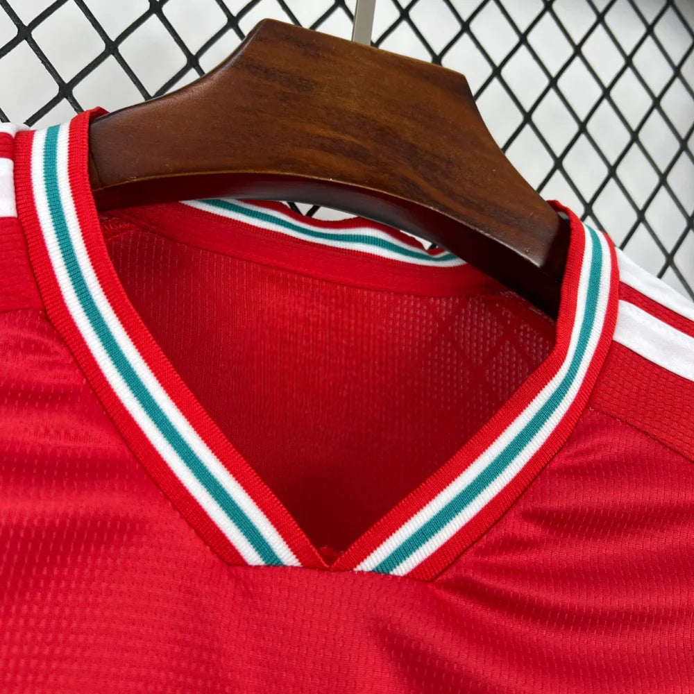 Camiseta Gales 26-27, Local, Mundial 2026