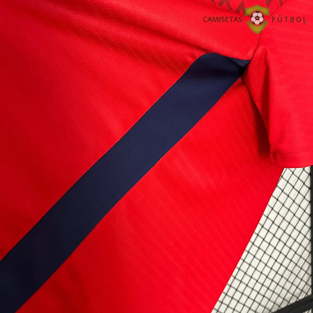 Camiseta Lille 24-25, Local