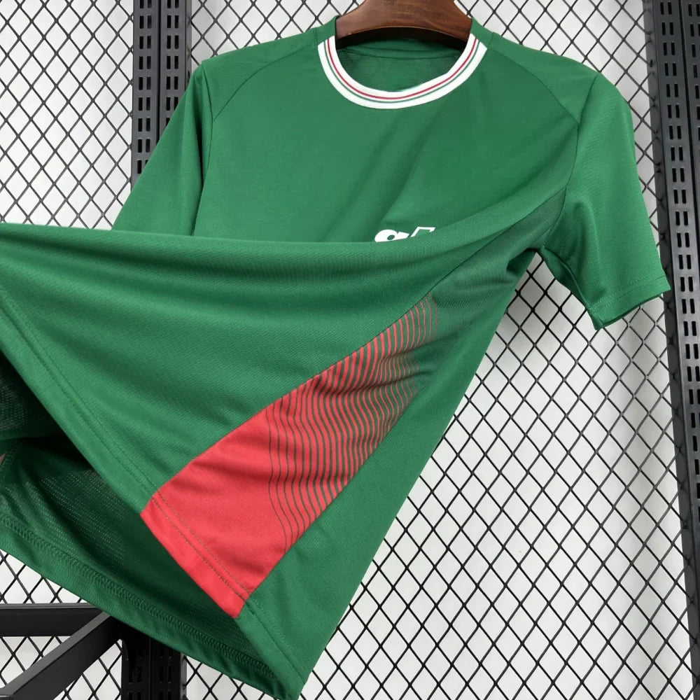 Camiseta Palmeiras 26-27, Local