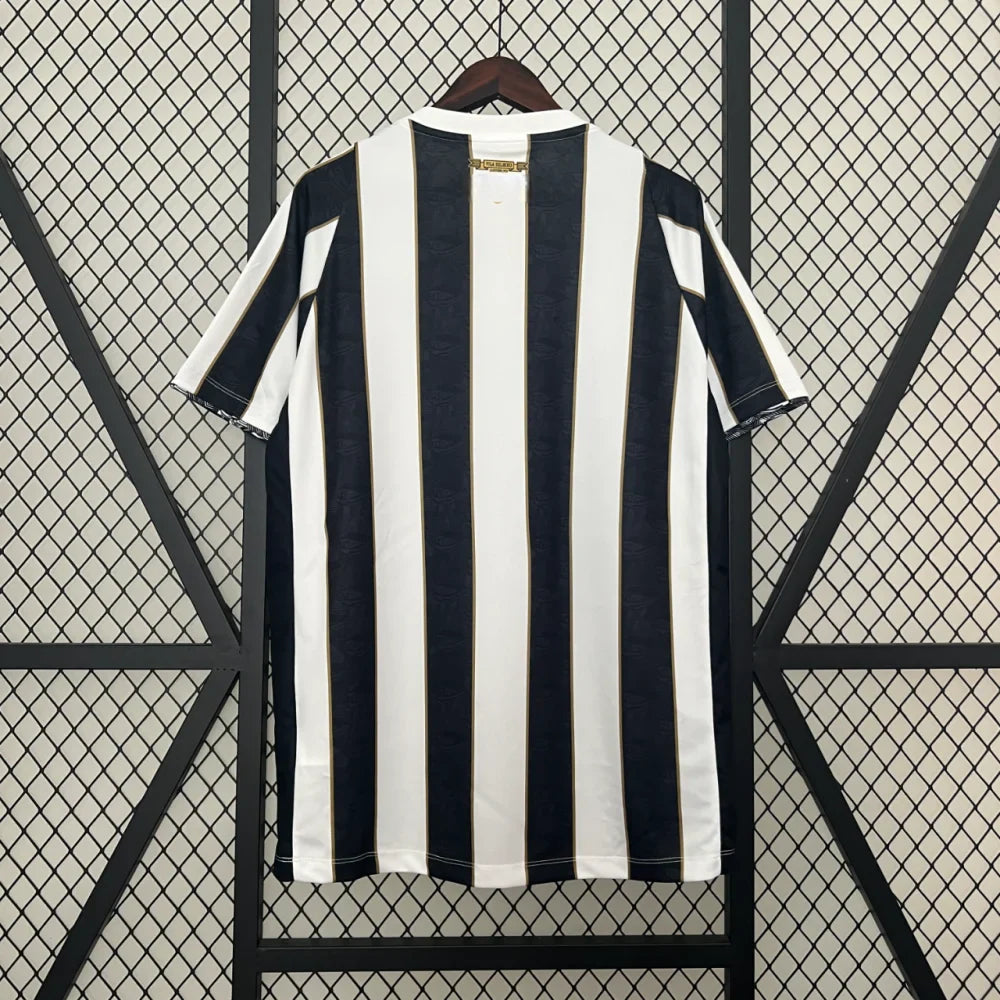 Camiseta Santos 24-25, Visitante