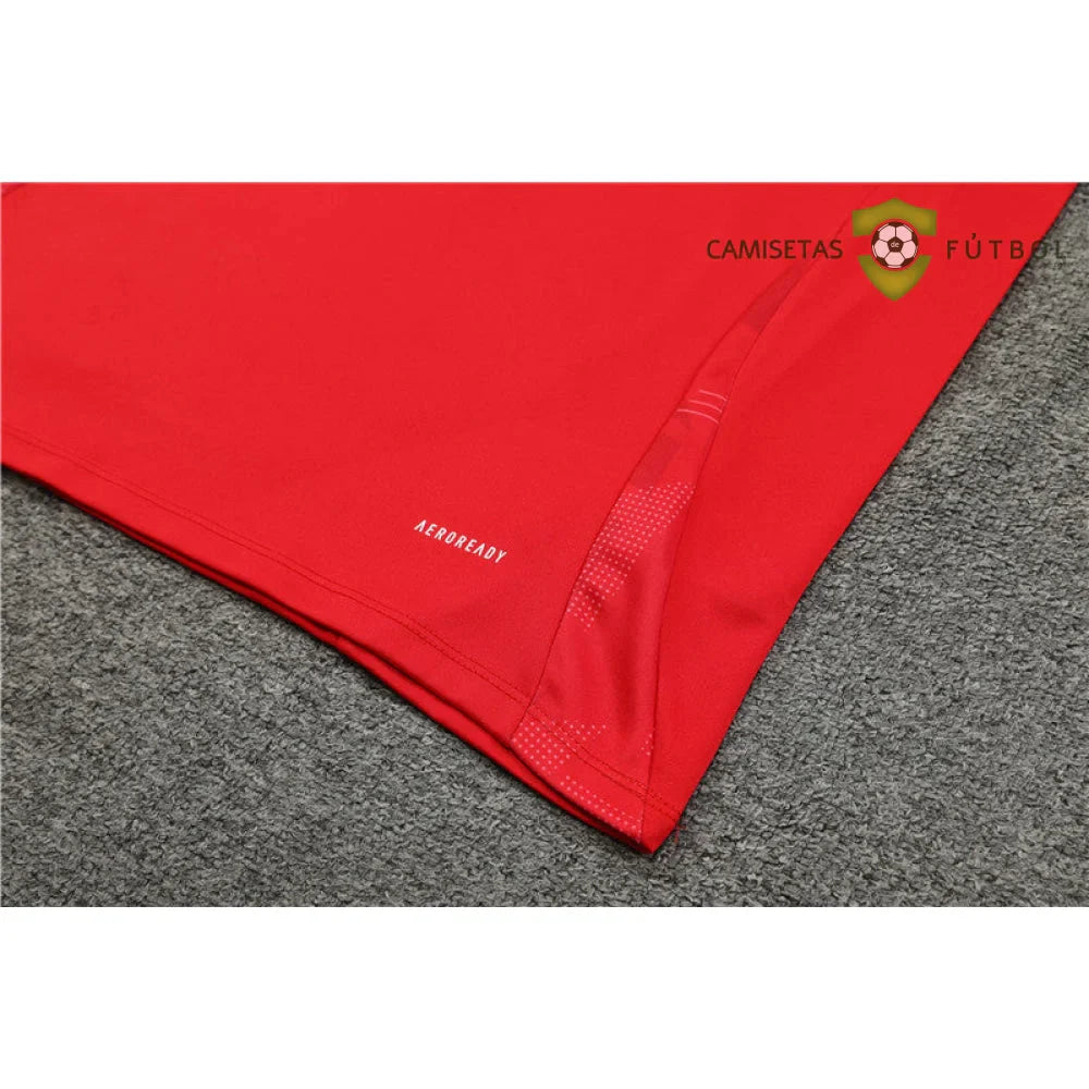 Chandal España 24-25, media cremallera, Modelo 1