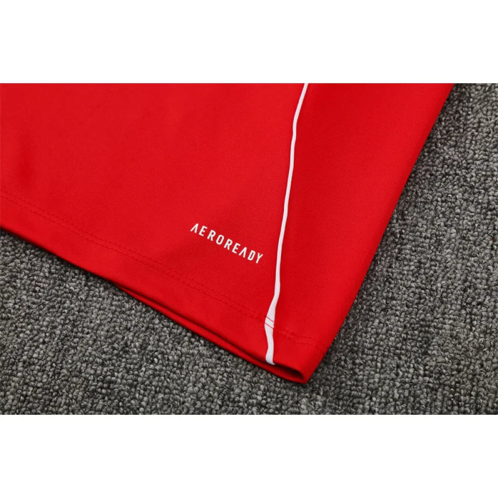 Chandal Liverpool 25-26, media cremallera, Modelo 4